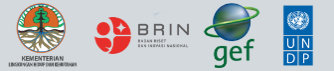 BRIN