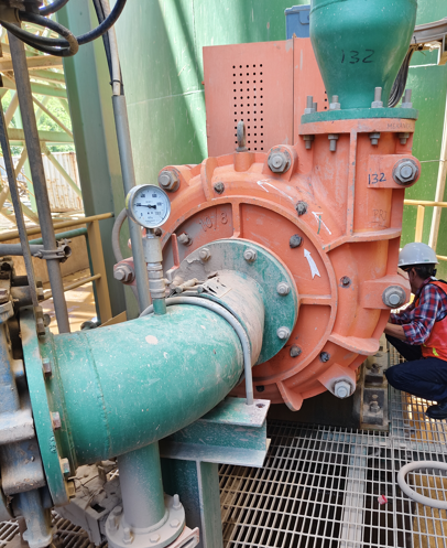 Pump for REA 450